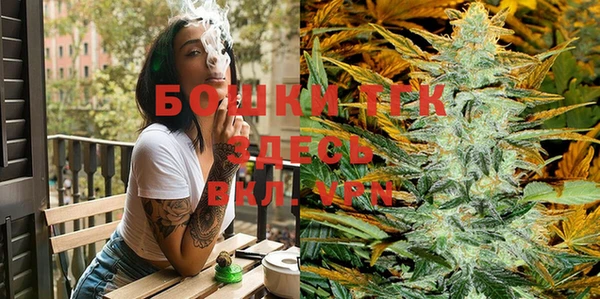 бошки Протвино