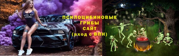 молекула духа Пролетарск