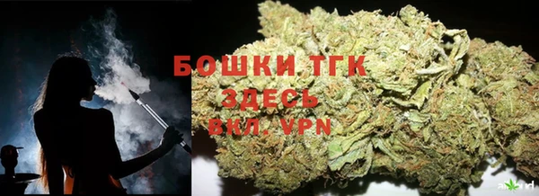 бошки Протвино